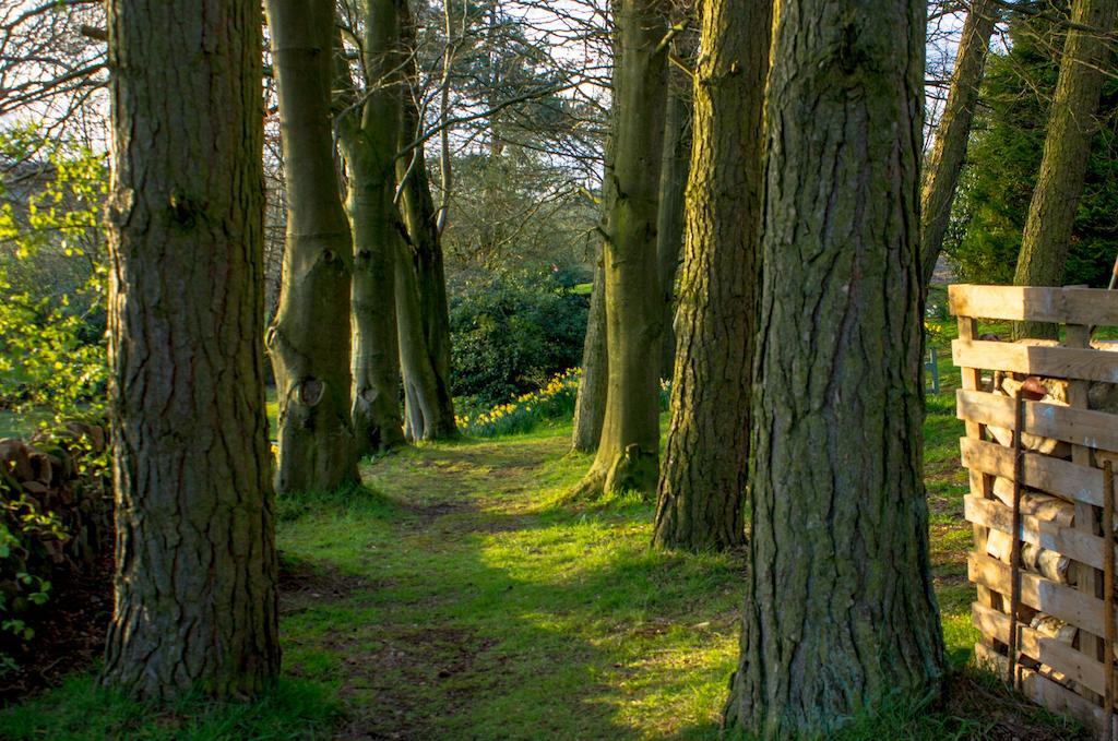 Robin Hood Farm B&B Baslow Luaran gambar
