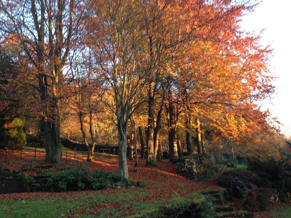 Robin Hood Farm B&B Baslow Luaran gambar